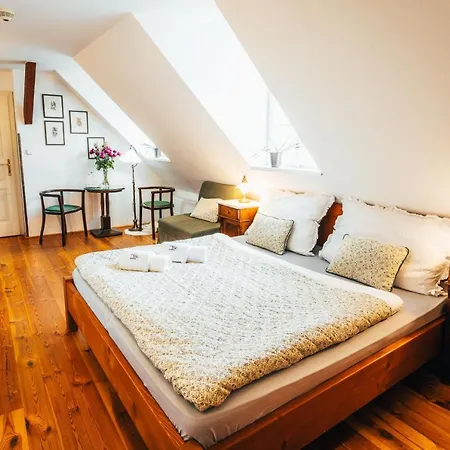 萨尔瓦多兀贝茨酒店 3* Český Krumlov